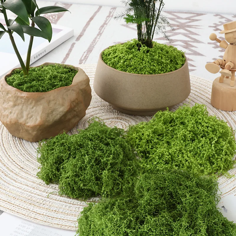 1 pièce de gazon artificiel en - Terrarium Moss Art avis et prix