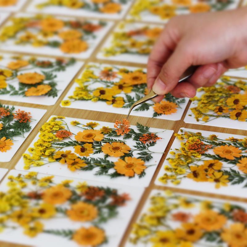 Vraies fleurs de plantes séché - Flower Preservation Resin avis et prix