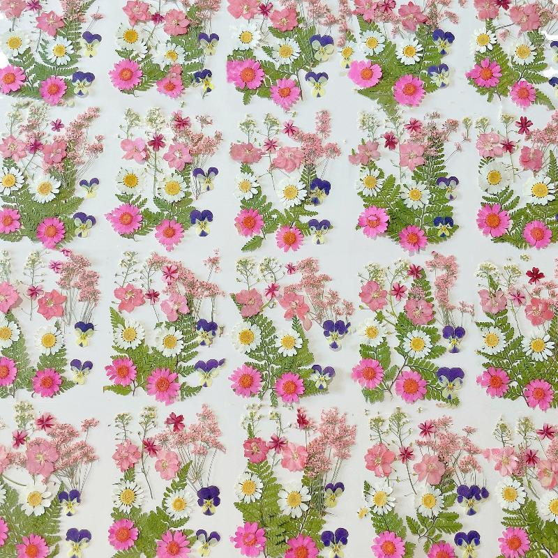 Vraies fleurs de plantes séché - Flower Preservation Resin avis et prix