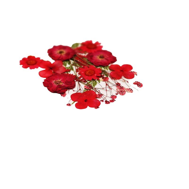 Vraies fleurs de plantes séché - Flower Preservation Resin avis et prix