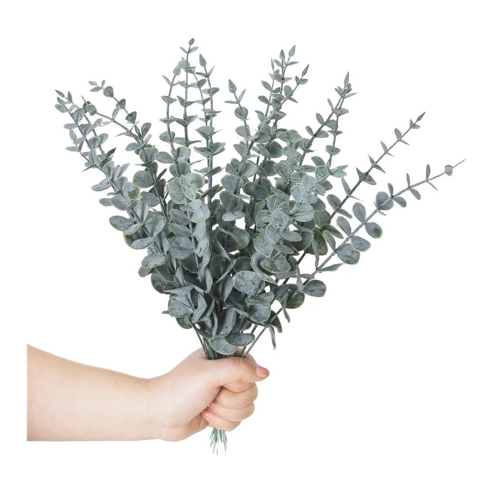 Bouquet de feuilles d'eucalypt - Terrarium Moss Art avis et prix