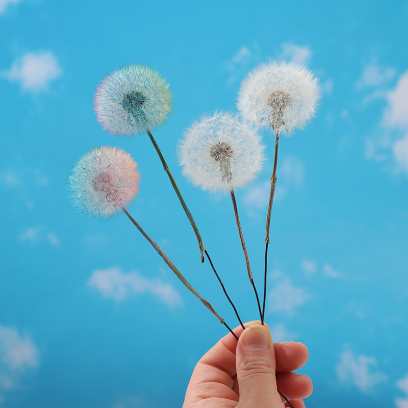 Kit de Bricolage en Résine Épo - Resin Crafts avis et prix