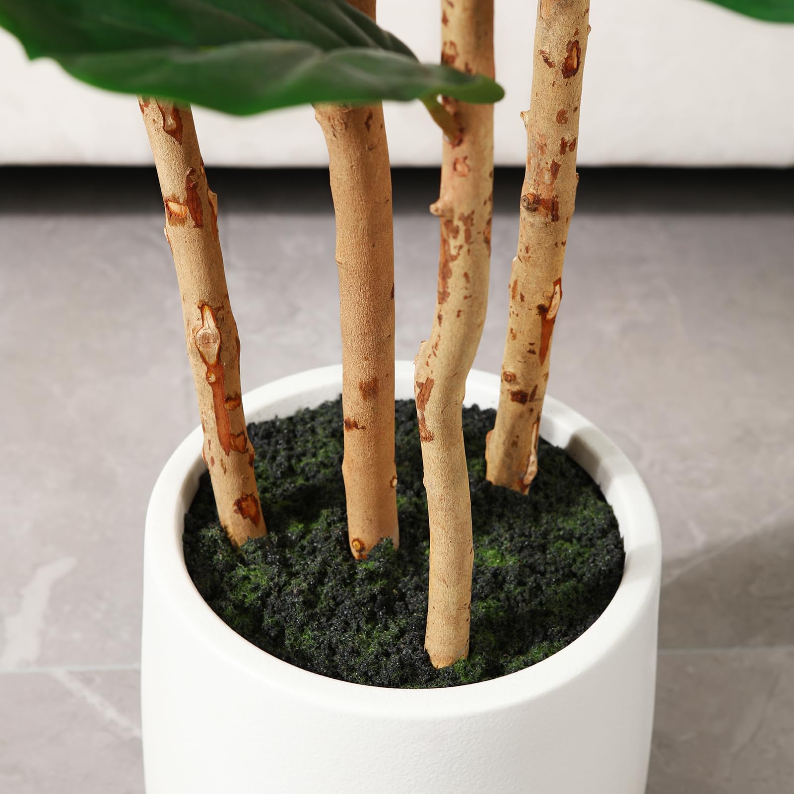 Arbre artificiel de figuier à  - Terrarium Moss Art avis et prix