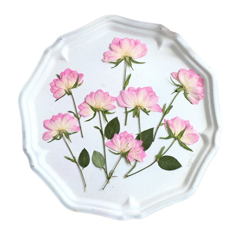 12 pièces, fleurs séchées pres - Flower Preservation Resin avis et prix